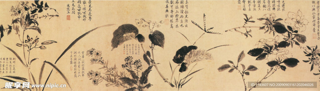 奇特怪异花型