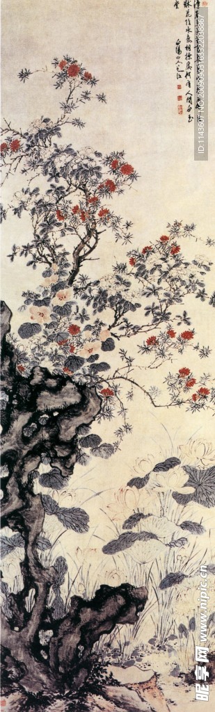 荷叶花朵
