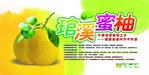 琯溪蜜柚货架围板 货架插卡