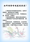 呼吸道病的预防