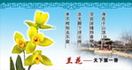 兰花