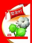 棉种