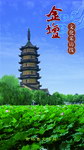 金坛文化文化采访线封面