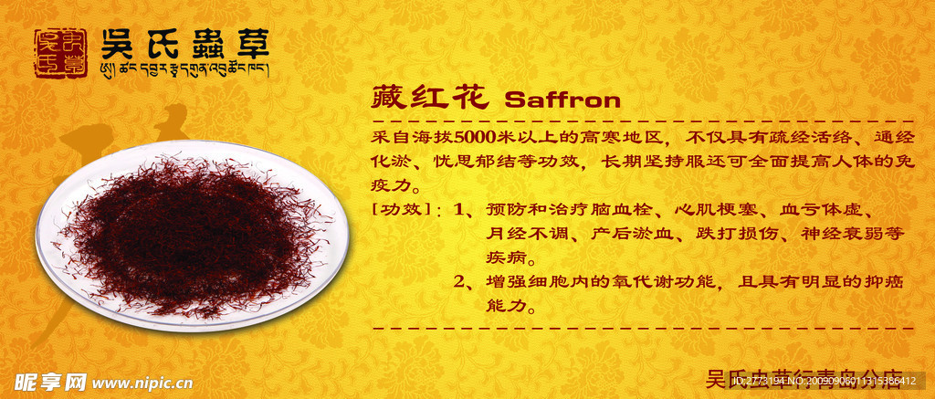 虫草宣传卡