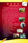 医保档案