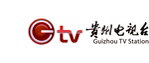 贵州电视台最新标志(LOGO图形为位图)