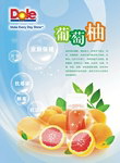 葡萄柚DM单
