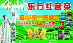 东方红茗茶