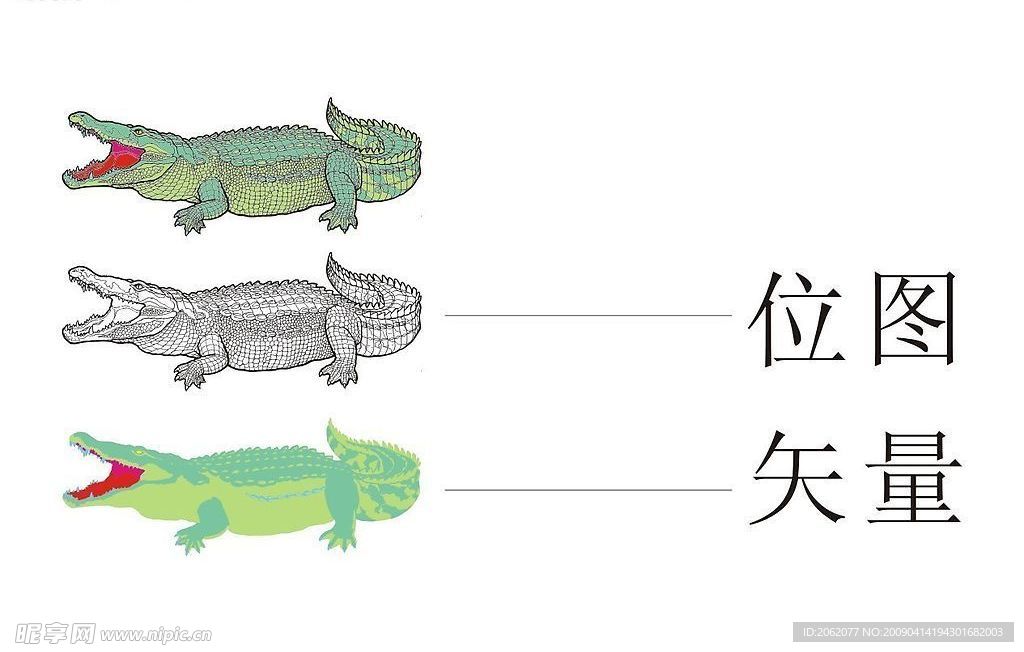 大号鳄鱼