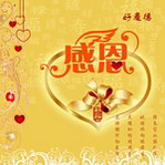 月饼包装