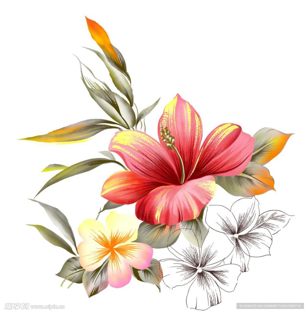 花纹