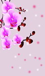 蝶恋花 梅花 移门图 鲜花盛开