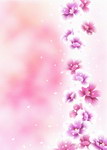 花 繁华梦境 梦幻 星星