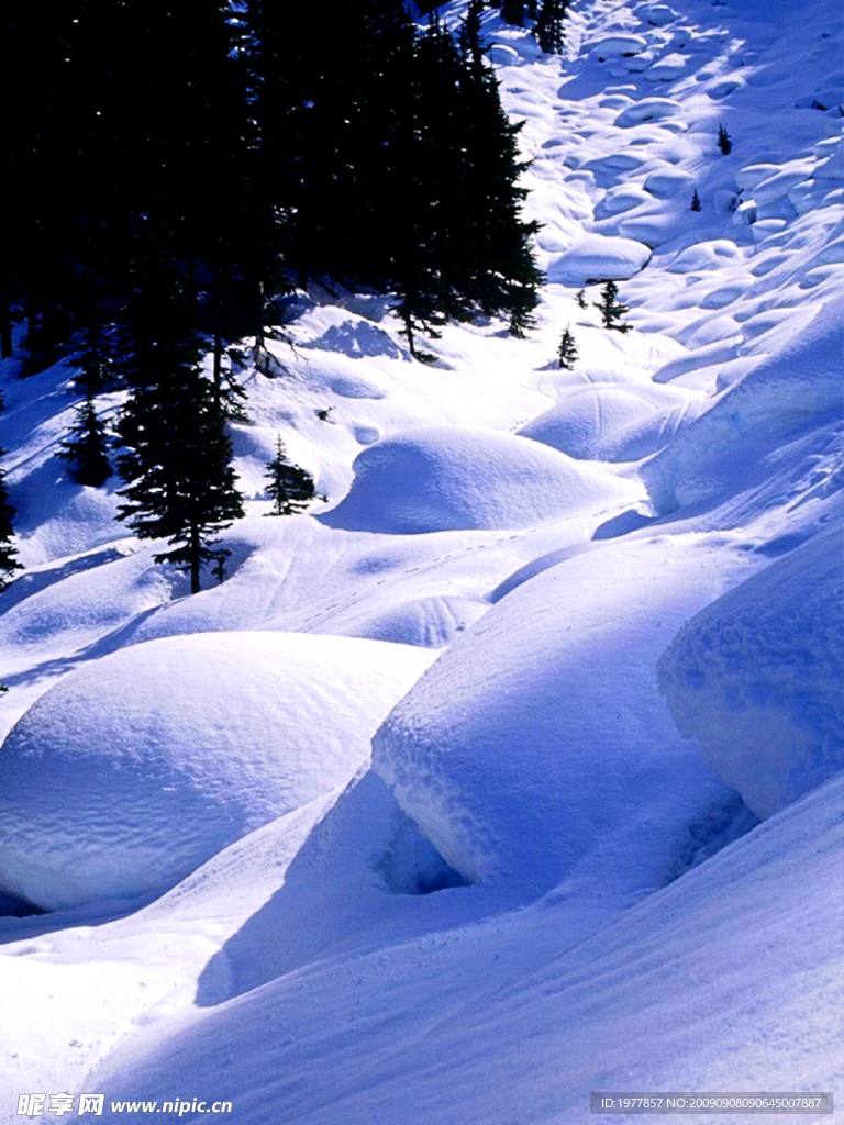 雪地 球形
