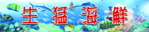 生猛海鲜