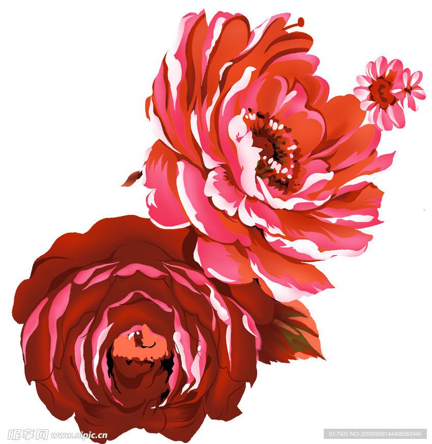 彩绘花朵