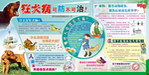 狂犬病宣传墙报