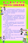 甲型H1N1流感应急预案
