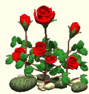 会动的花