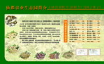 鹅肉 蛋 养殖 绿黄版面