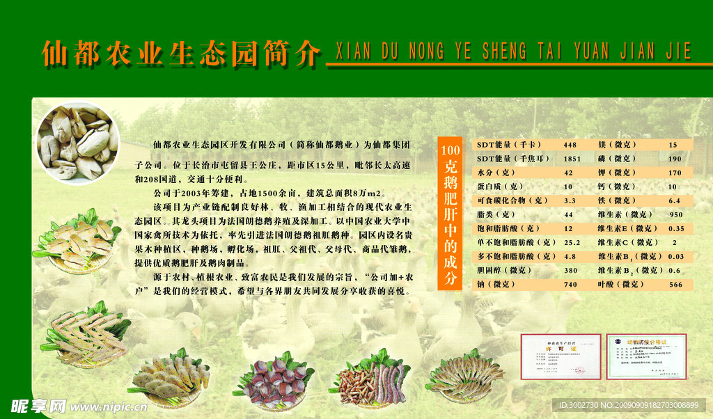 鹅肉 蛋 养殖 绿黄版面