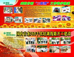 电力 展板