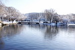 公园雪景