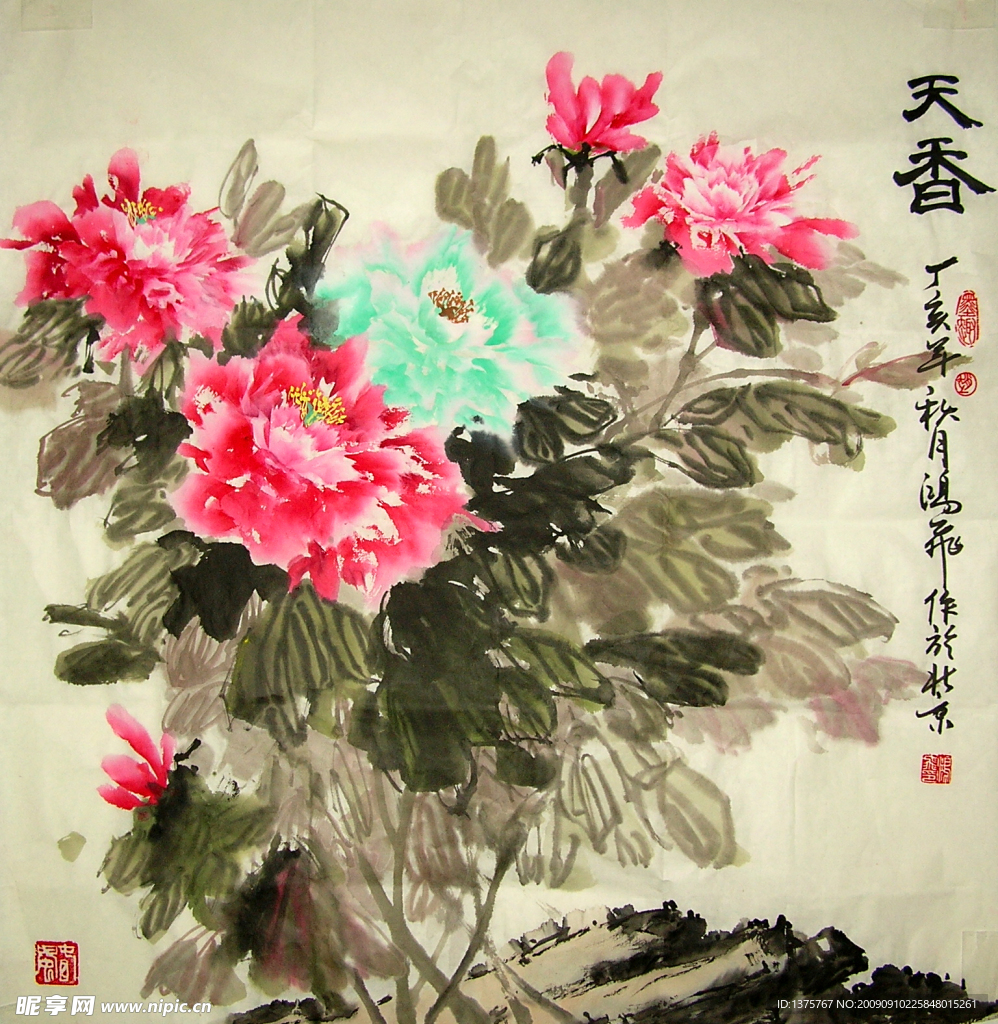 牡丹