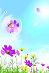 菊花移门