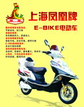 凤凰载来新希望