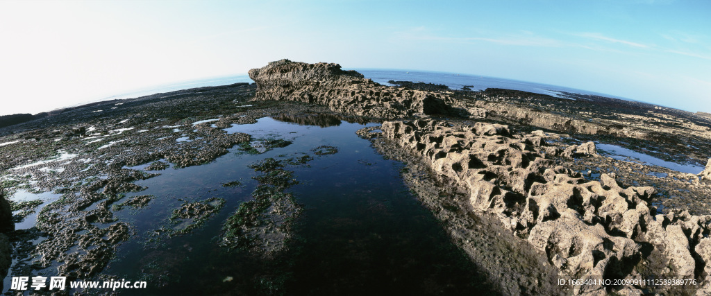 沼泽风光