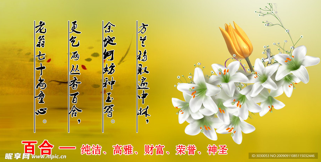 百合