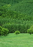 自然风景