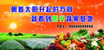 蔬菜广告