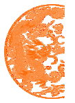 烫金龙