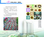 政府科技手册