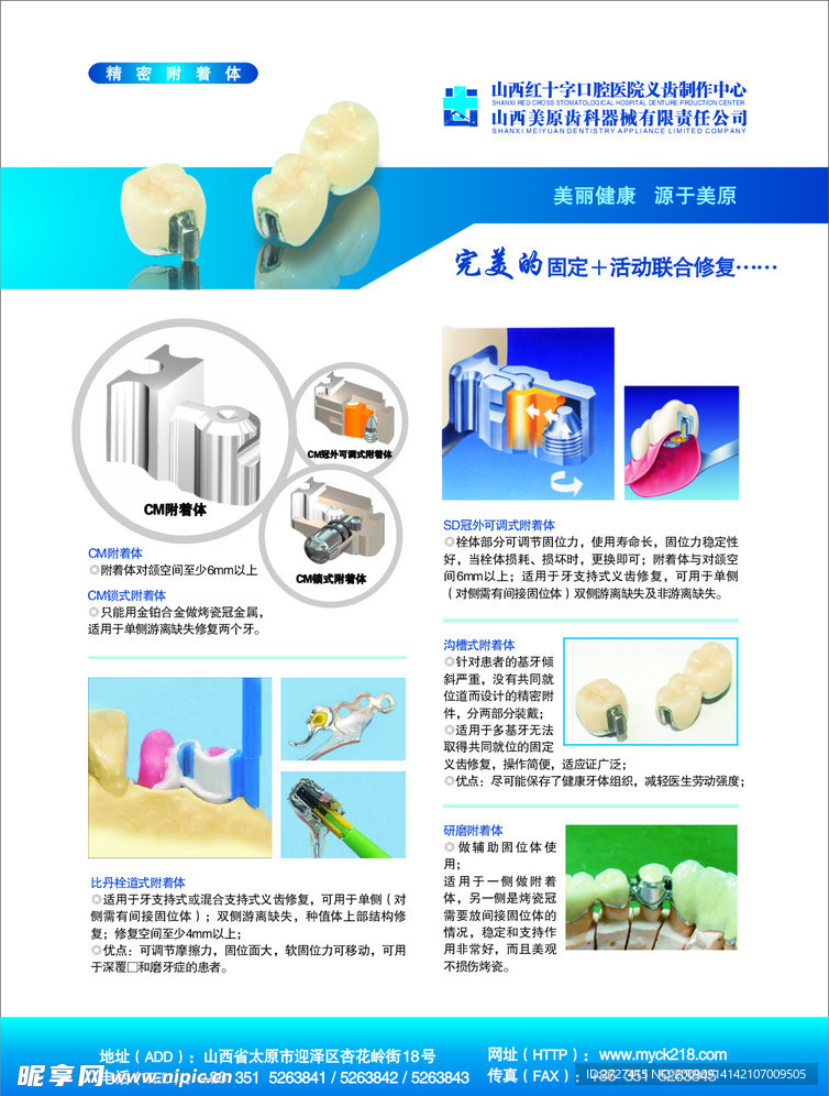 牙科宣传单页