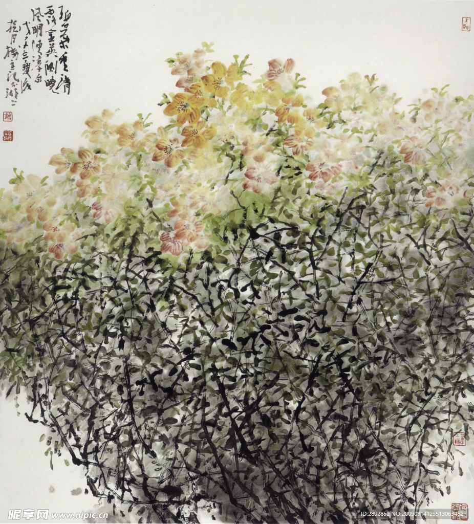 国画 花