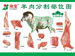羊肉分割部位图