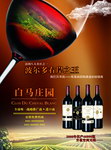 葡萄酒