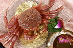 蟹 香槟蟹