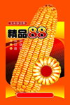 玉米杂交种
