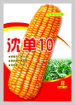 玉米