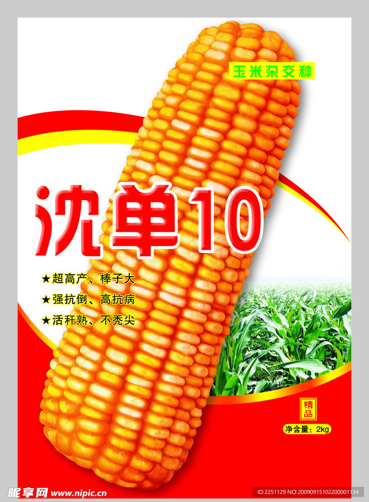 玉米
