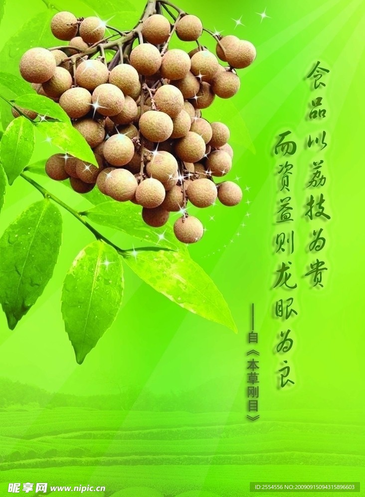 龙眼广告彩页