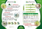 糯米涂料宣传单