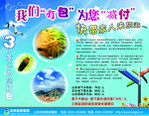 旅游景区宣传海报