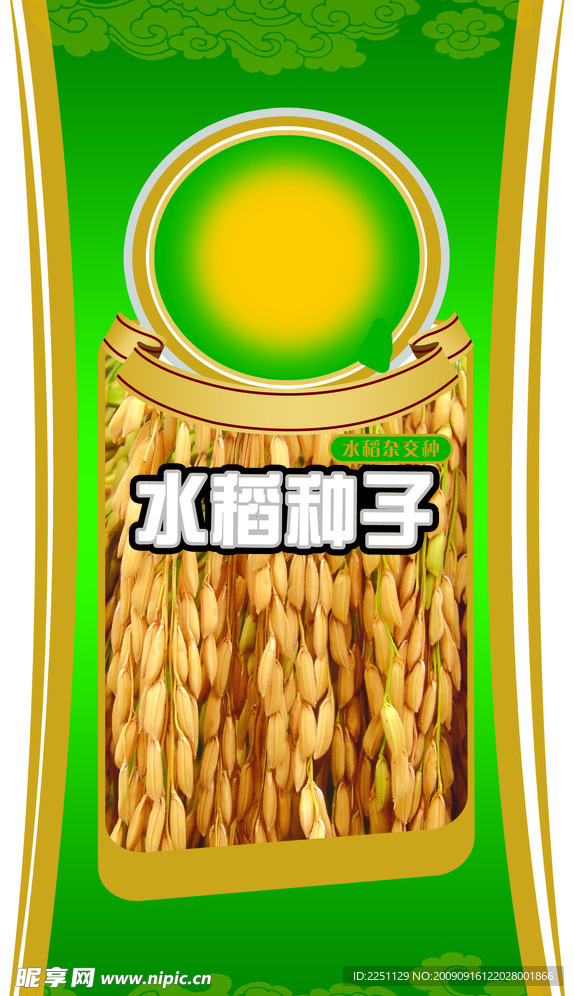 水稻种子