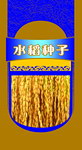 水稻种子兰