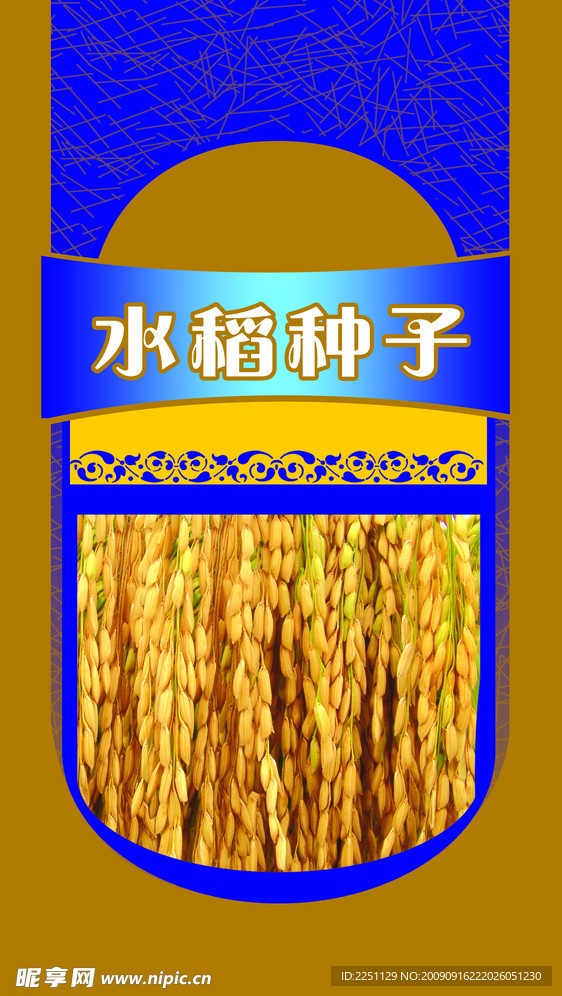 水稻种子兰